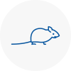 Mice Exterminators In Holyhead