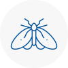 Moth Control Specialists In Holyhead