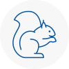 Holyhead Rodent Removals